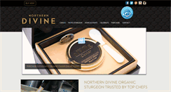 Desktop Screenshot of northerndivine.com